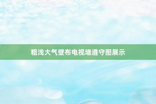 粗浅大气壁布电视墙遵守图展示