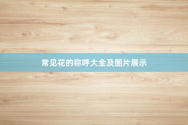 常见花的称呼大全及图片展示