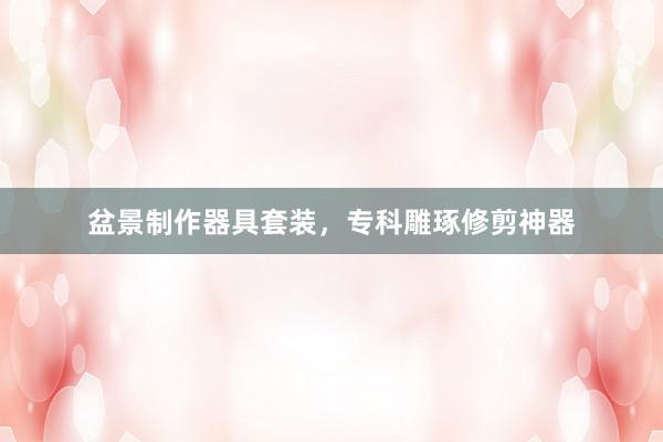 盆景制作器具套装，专科雕琢修剪神器